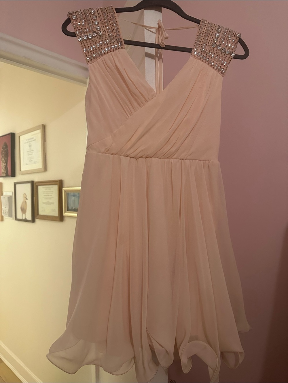 As U Wish Blush Embellished Chiffon Women’s Formal Dress